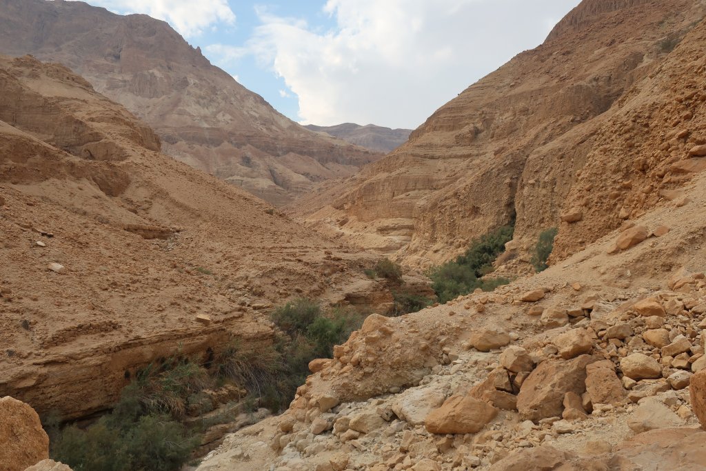 Wadi Arugot, Ein Gedi