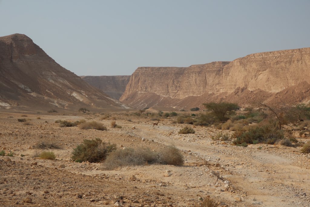 Wadi Barak Hike, Paran