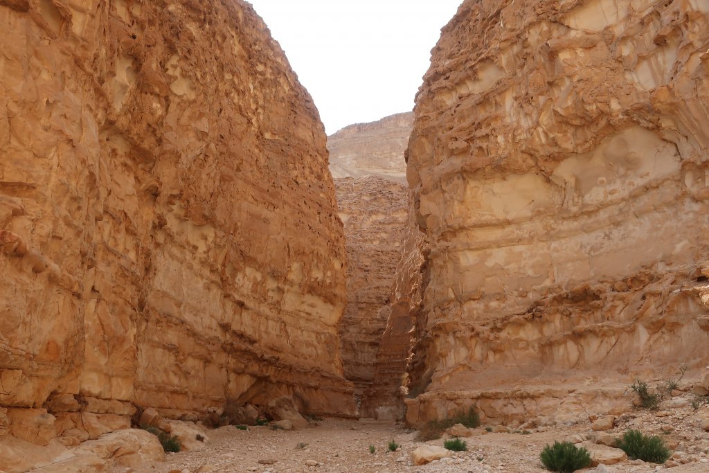 Wadi Barak Hike, Paran