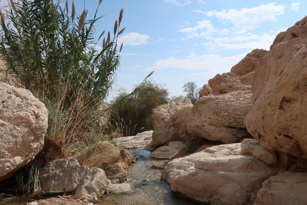 Wadi David, Ein Gedi