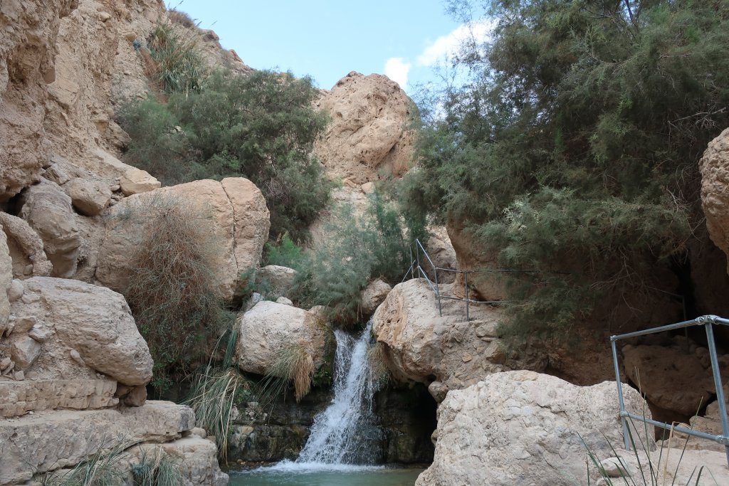 Wadi David, Ein Gedi