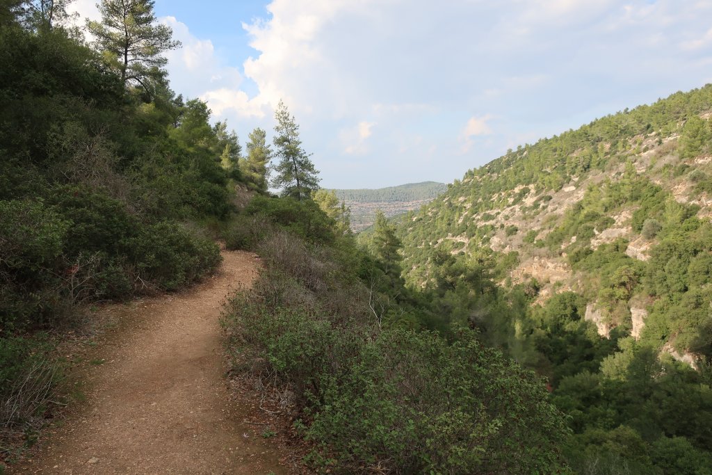 Wadi Ktalav Hike