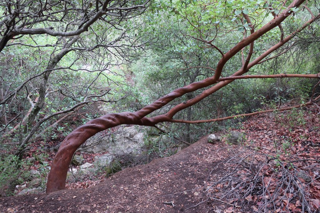 Wadi Ktalav Hike