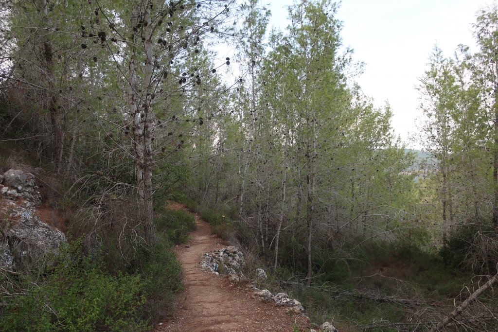 Wadi Ktalav Hike