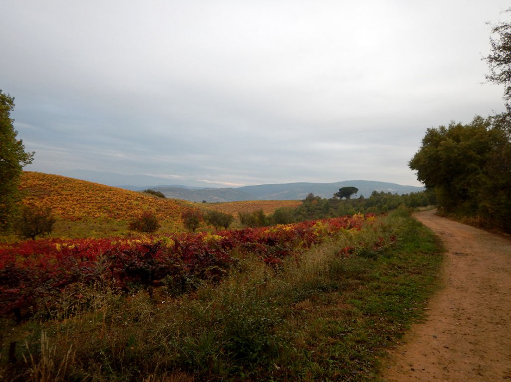 Walking Down to Villafranca del Bierzo