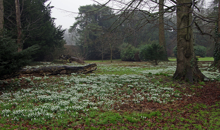 Walsingham Priory