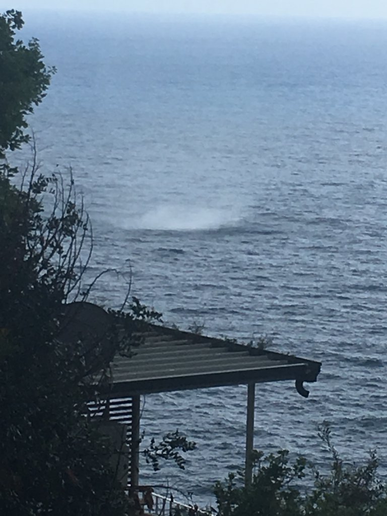 Water Spout Positano