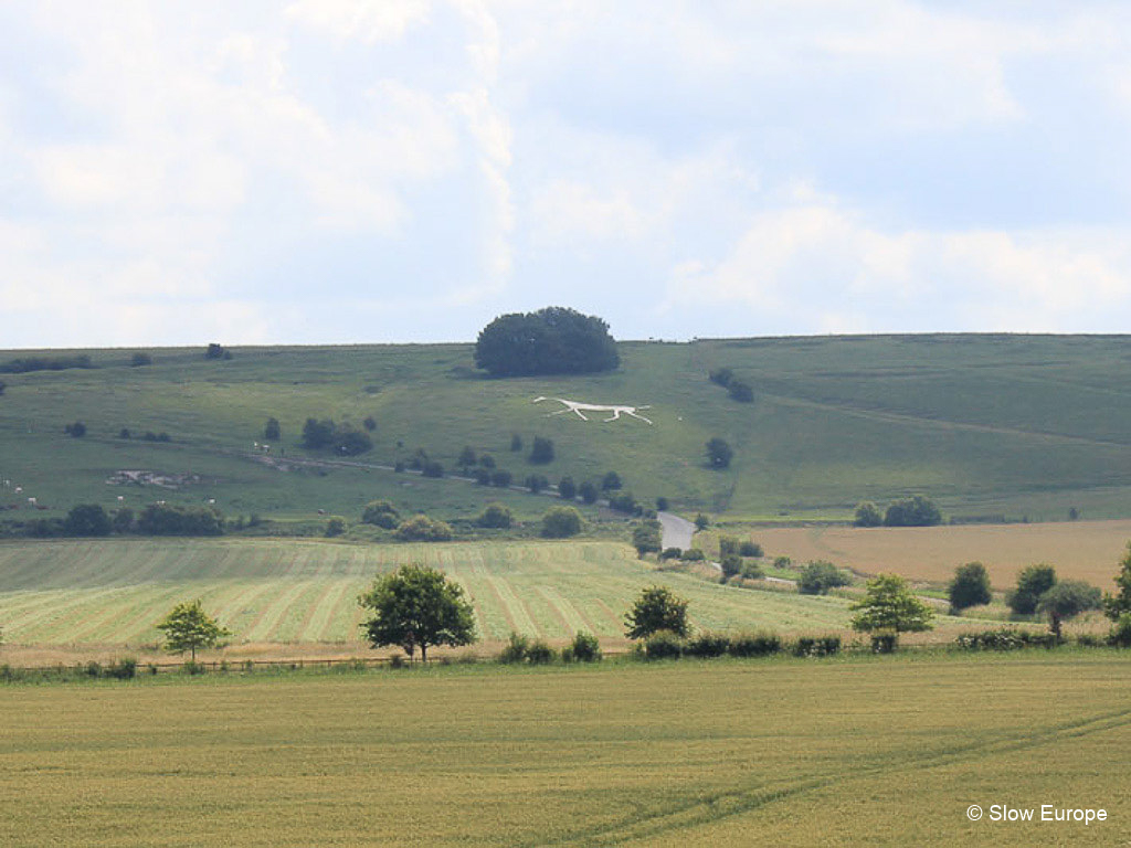 Wiltshire White Horses