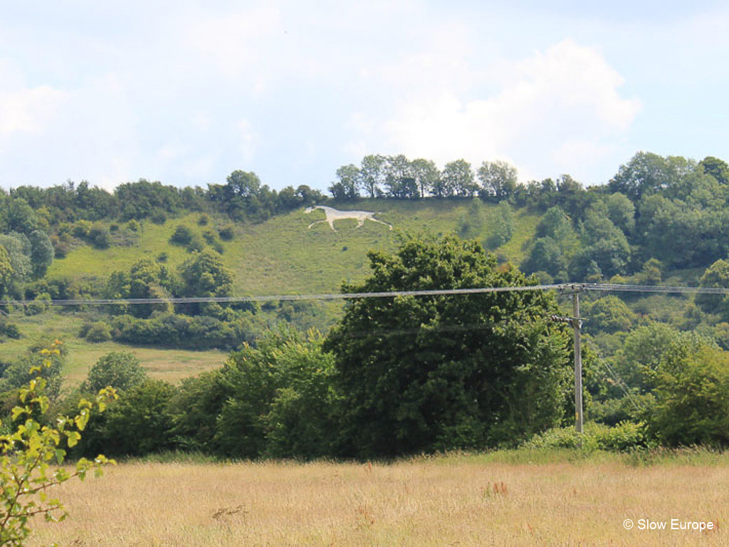 Wiltshire White Horses