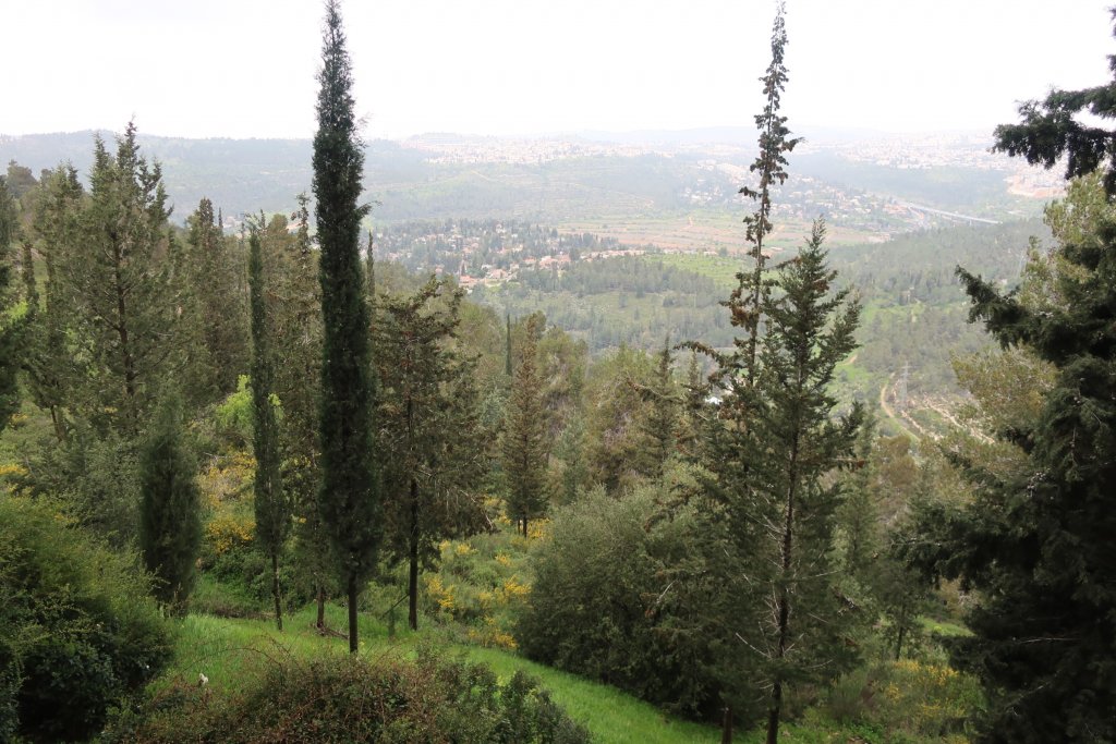 Yad Vashem, Holocaust History Museum