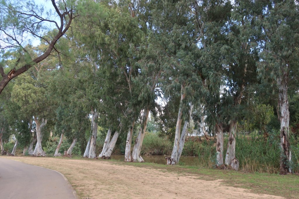 Yarkon Park, Tel Aviv