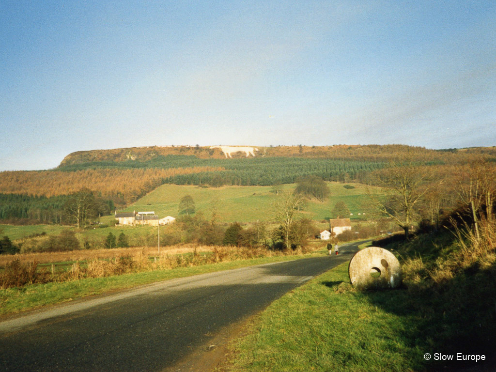 Yorkshire White Horse