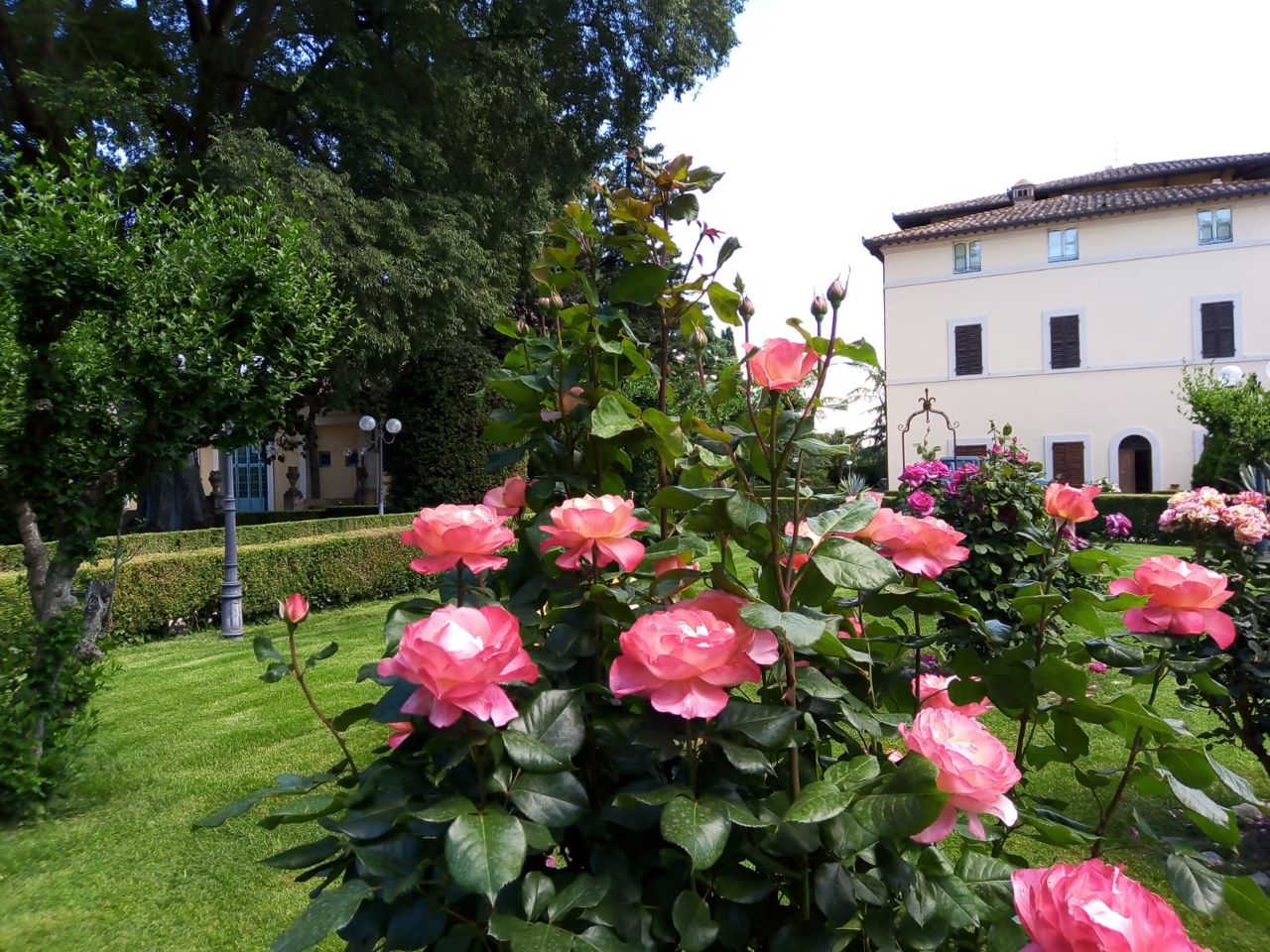www.postadonini.it