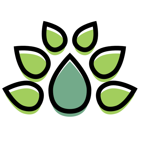 namecensus.com