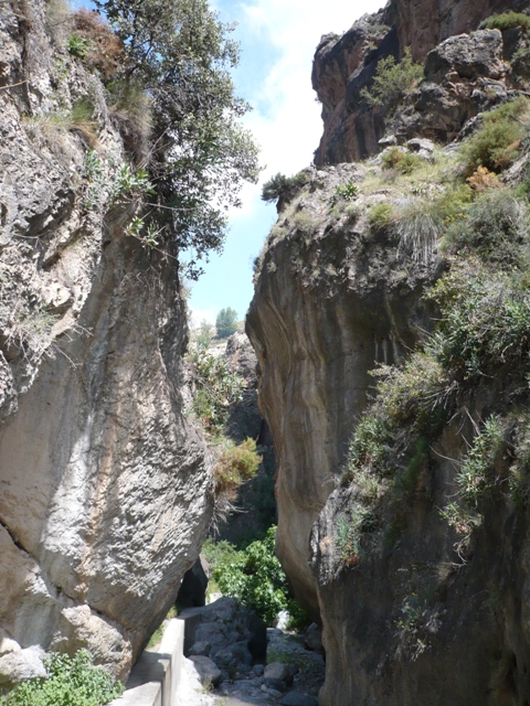 treksierranevada.com