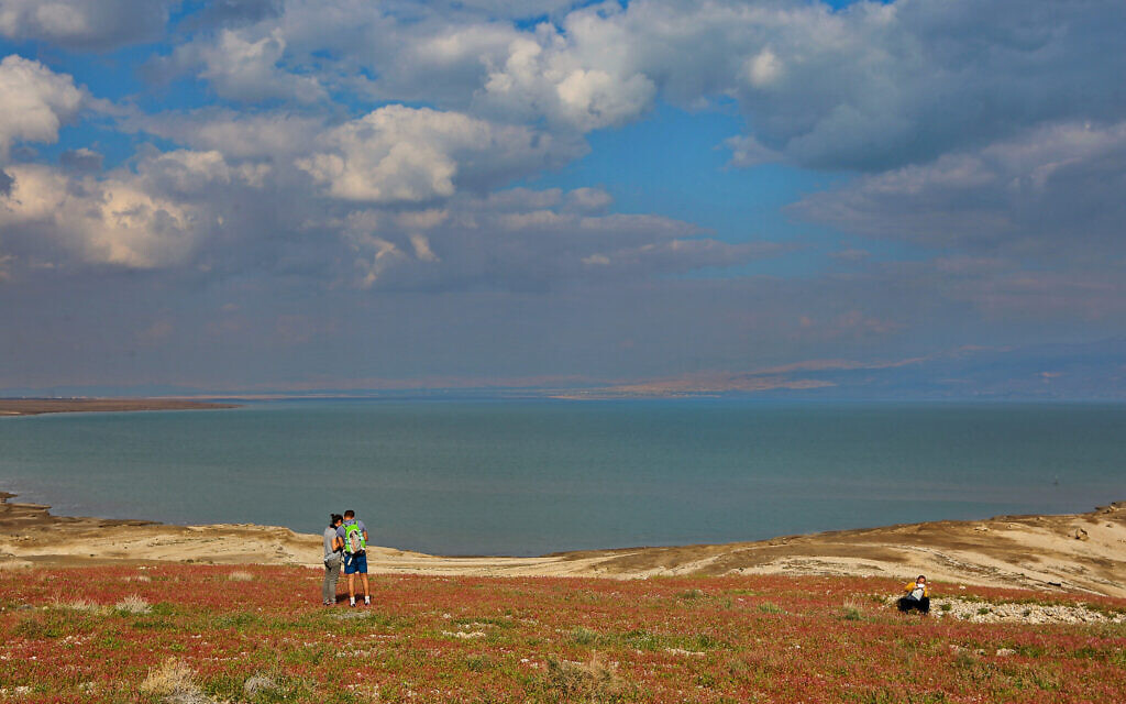 www.timesofisrael.com